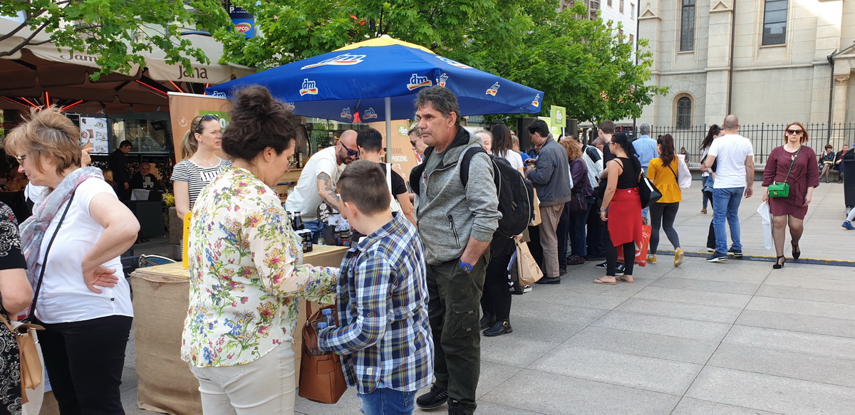 Green City Project 2019