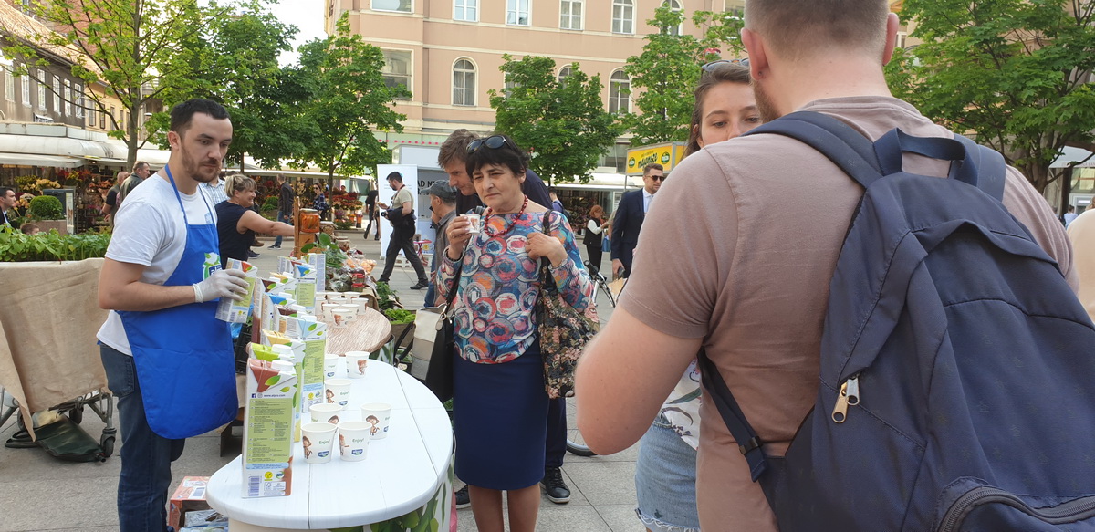 Green City Project 2019