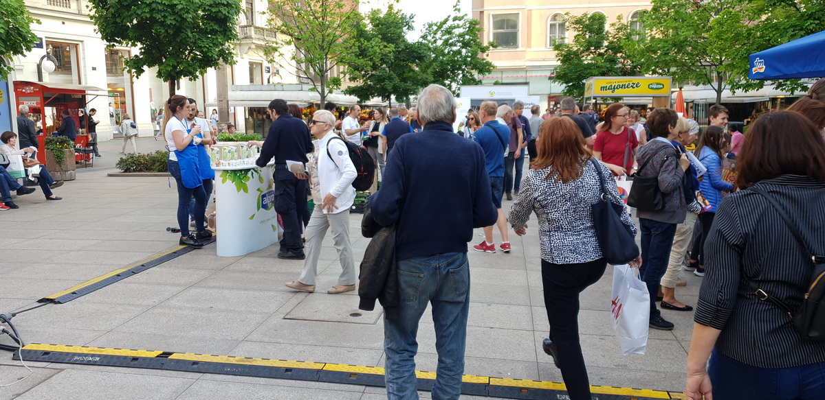 Green City Project 2019