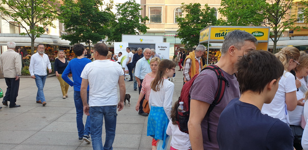 Green City Project 2019