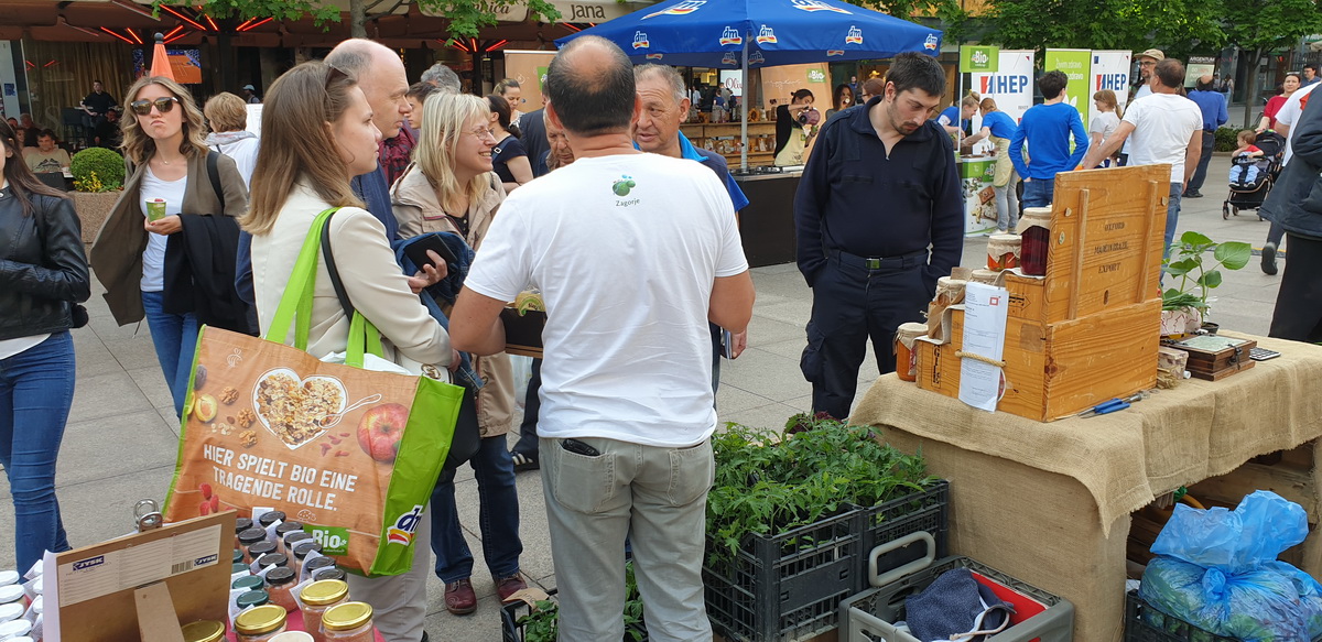 Green City Project 2019